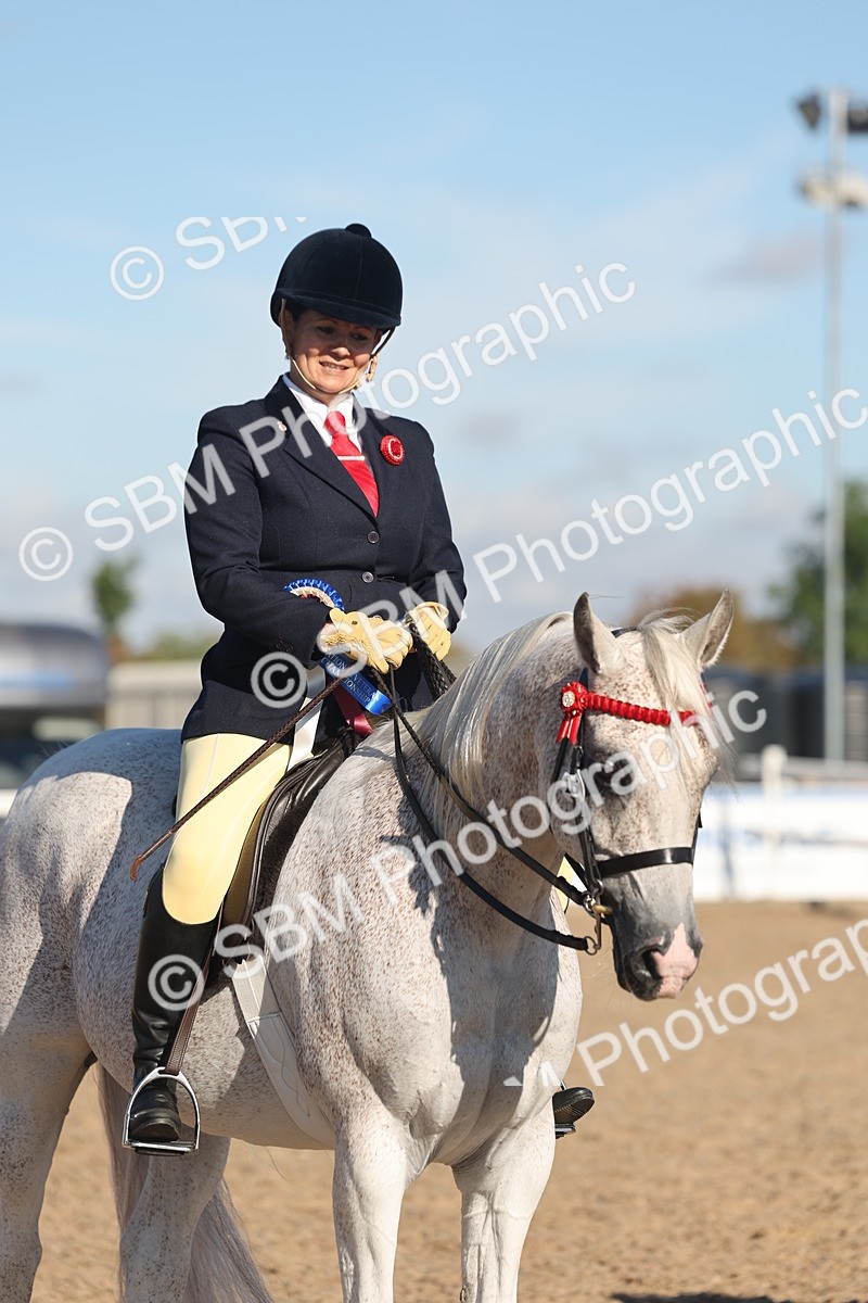 SBM_12252 - Class 303 - Ridden Pure Bred Horse Pony