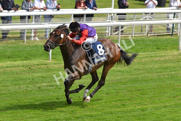 yr09072021r2-21 - Race 2: 2.40pm William Hill Summer Stakes