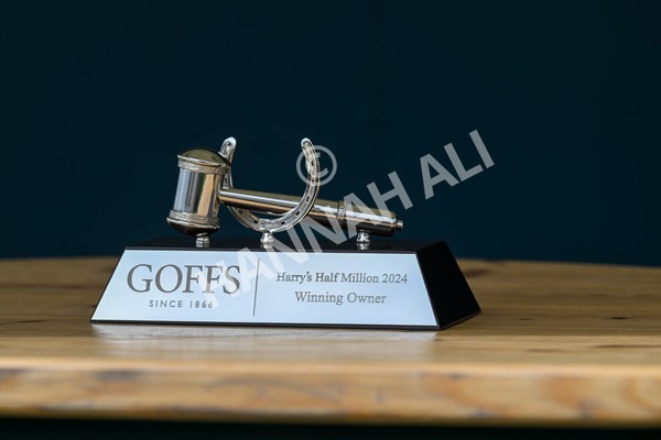220824-Race 2-Diligently-6639 - Race 2 2.25pm Harry's Half Million By Goffs Premier Yearling Stakes