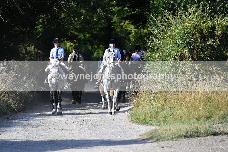 WJ5_4867 - Walk out with the hounds