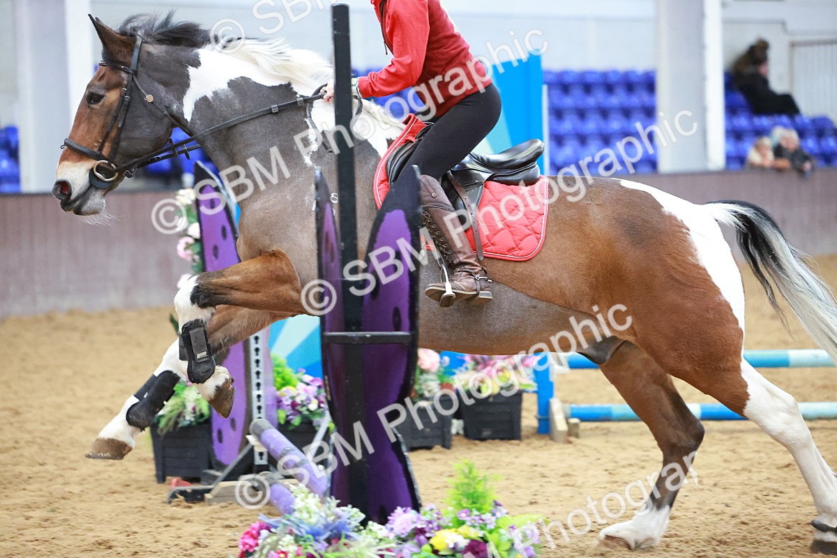 SBM_002094 - Class 3 - Horse & Hound (60cm)