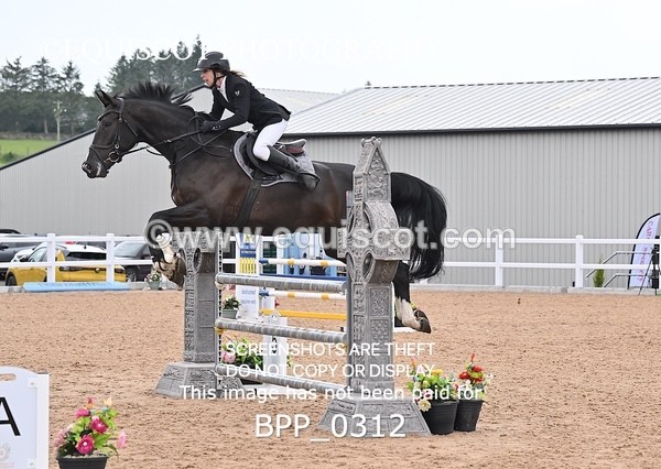 BPP_0312 - CLASS 26 SUN 5 Year Old Non Qualifier