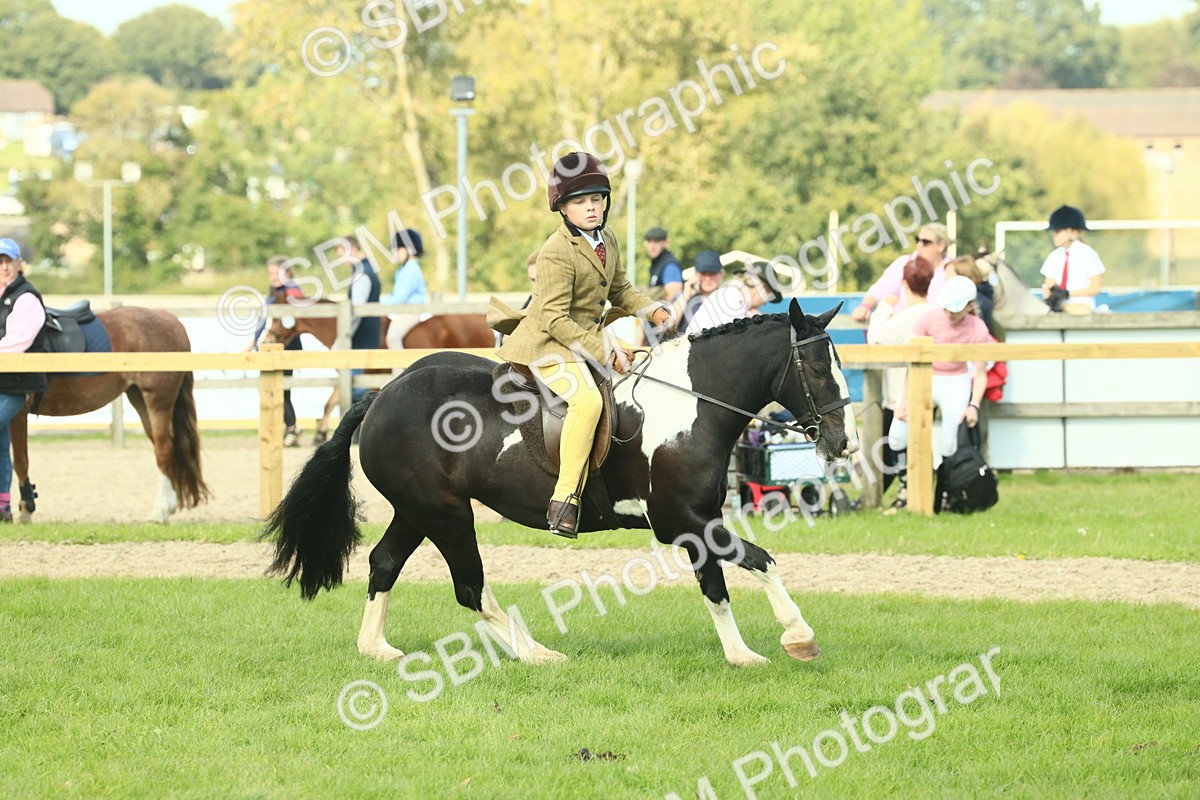 SBM_68890 - S58 - Mini Show Cob Ridden