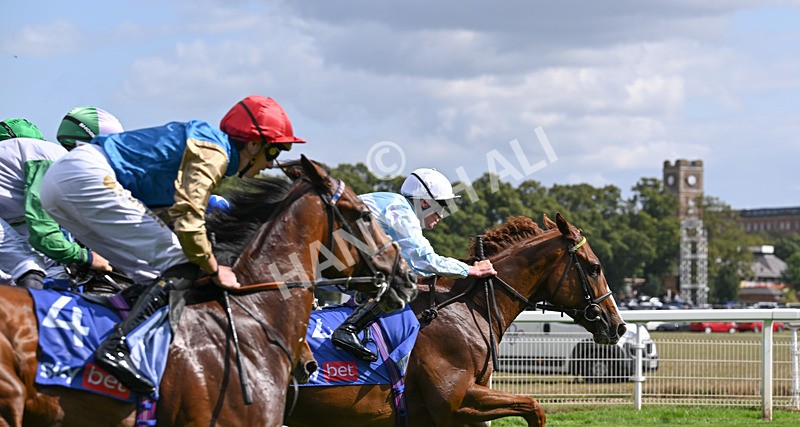 220826-038 Steel Raven - Race 2 14.25pm Sky Bet Melrose Handicap