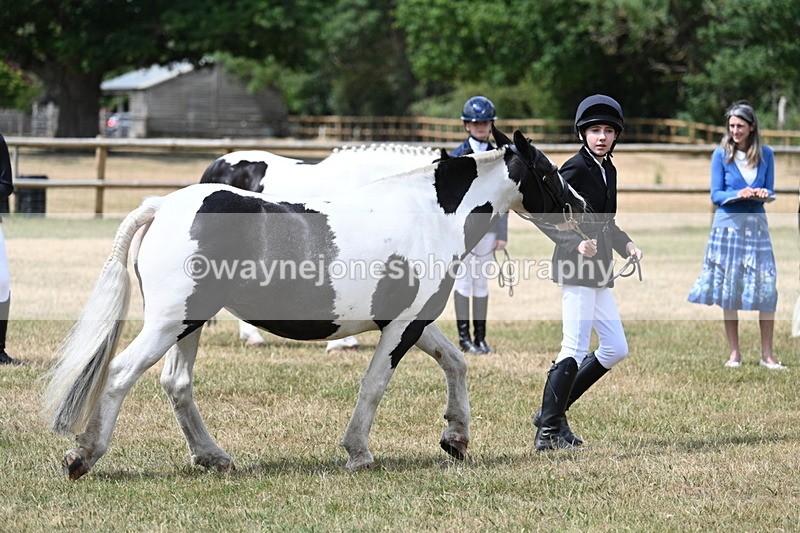 WJ7_1705 - Class 4 Prettiest Mare up to 14.2hh in hand