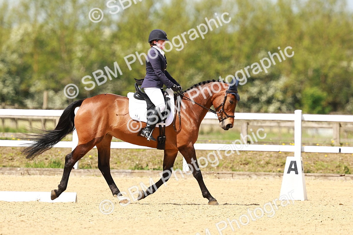 SBM_001445 - Class 8 - N5