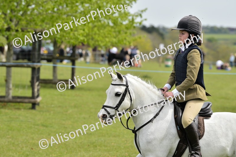 20260426-2448 - Class 21 - Working Hunter Ponies
