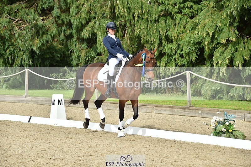 230812-160930-05438 - Novice Bronze Presentations