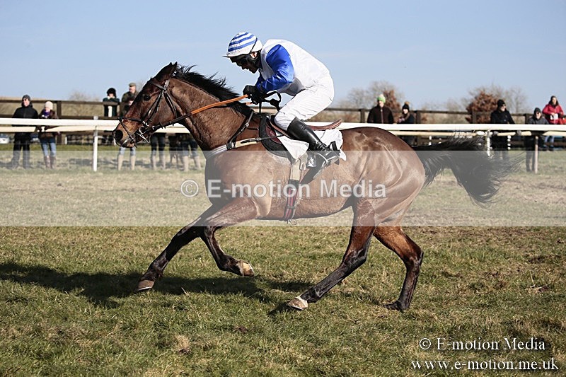 PtP 240218 408 - Vine & Craven Hunt Point-to-Point Barbury racecourse 24/02/18