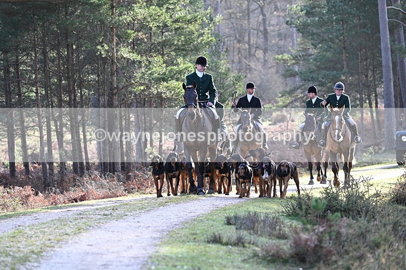 WJ7_7635 - Line 3 (no line 4 or 5)