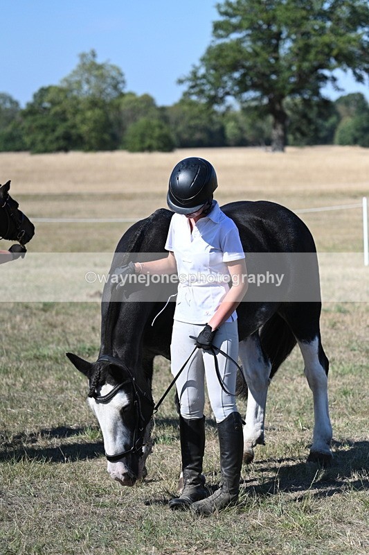 WJ7_1914 - Class 43 Best Six Legs (In hand)