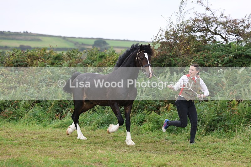 3E7A4112 - Class 15: Two Year Olds