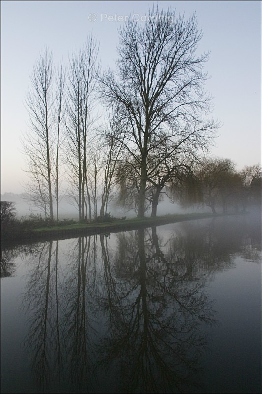 River dawn 1 - Water