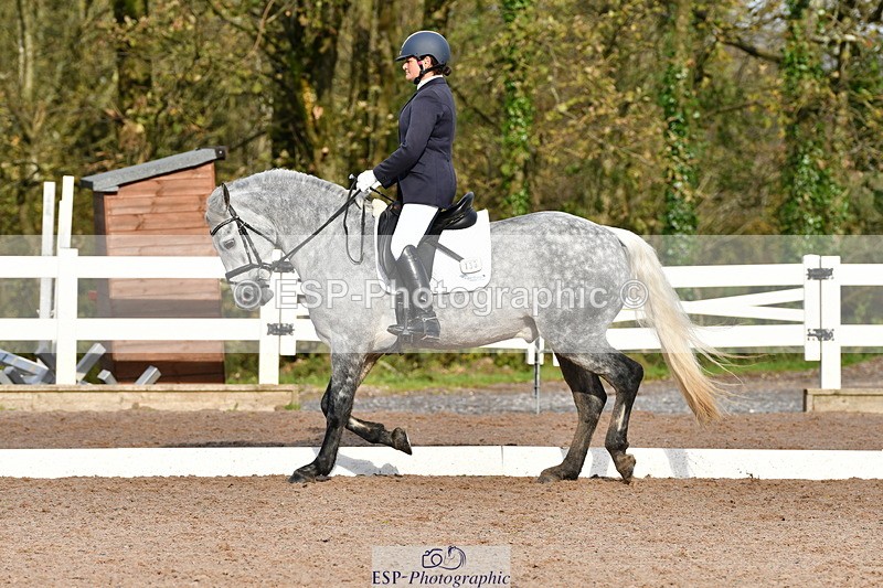 231104A-120237-00349 - Cls 7 Elementary 43