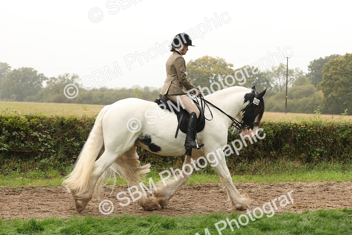 SBM_72684 - S70 - Traditional Cob Ridden