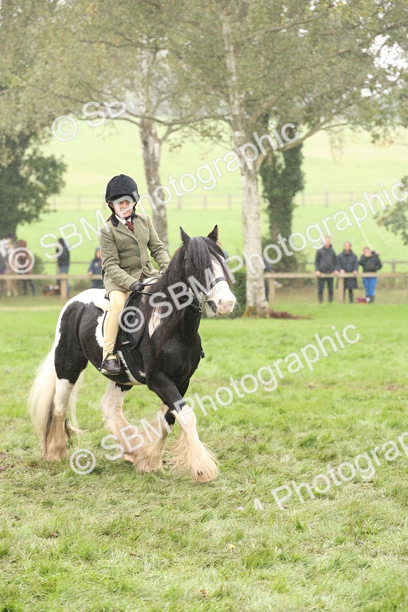 SBM_72840 - S70 - Traditional Cob Ridden