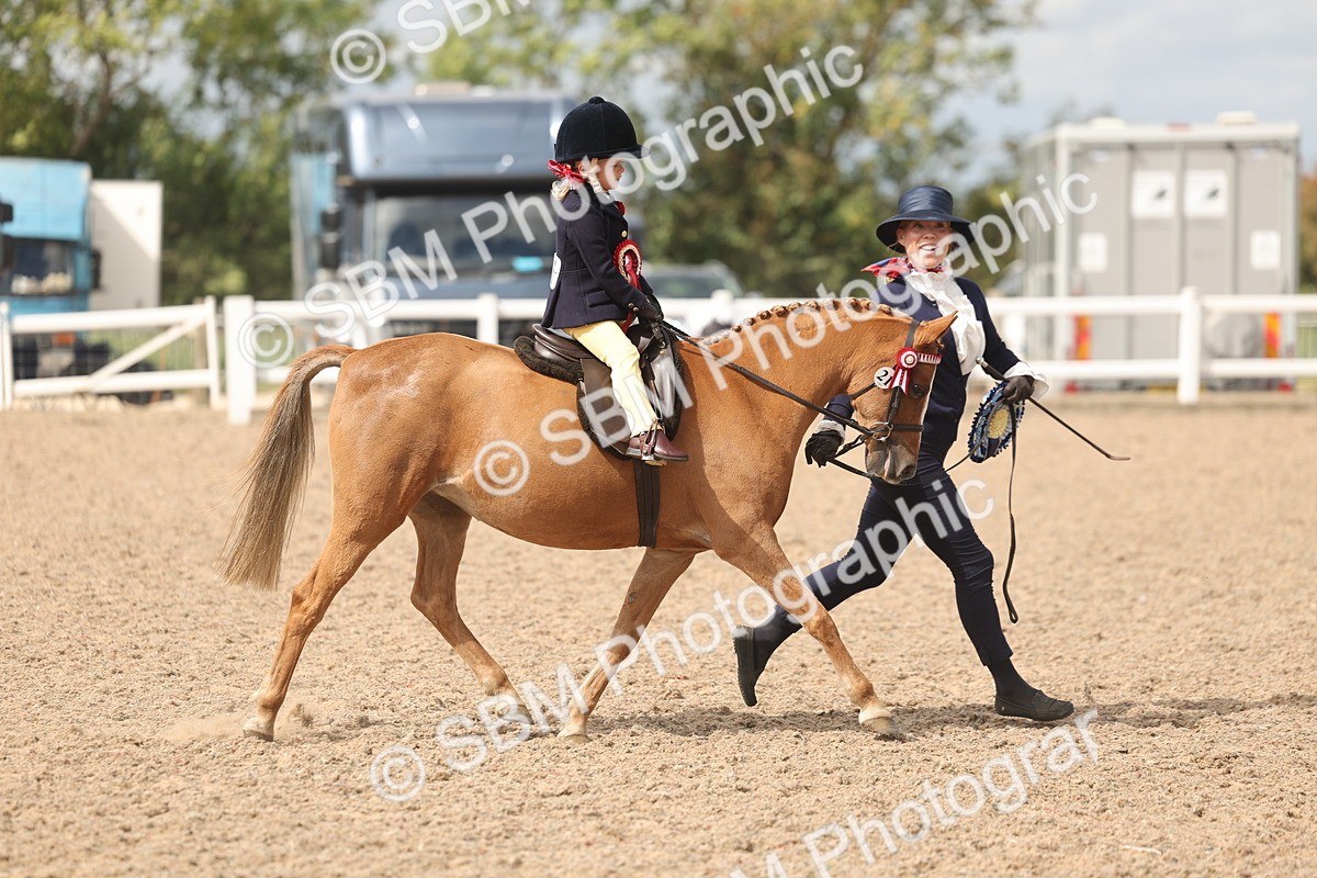 SBM_15852 - Class 309 - Lead Rein Pony