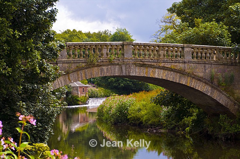 Pollok Park, Glasgow - 4431 - Scotland