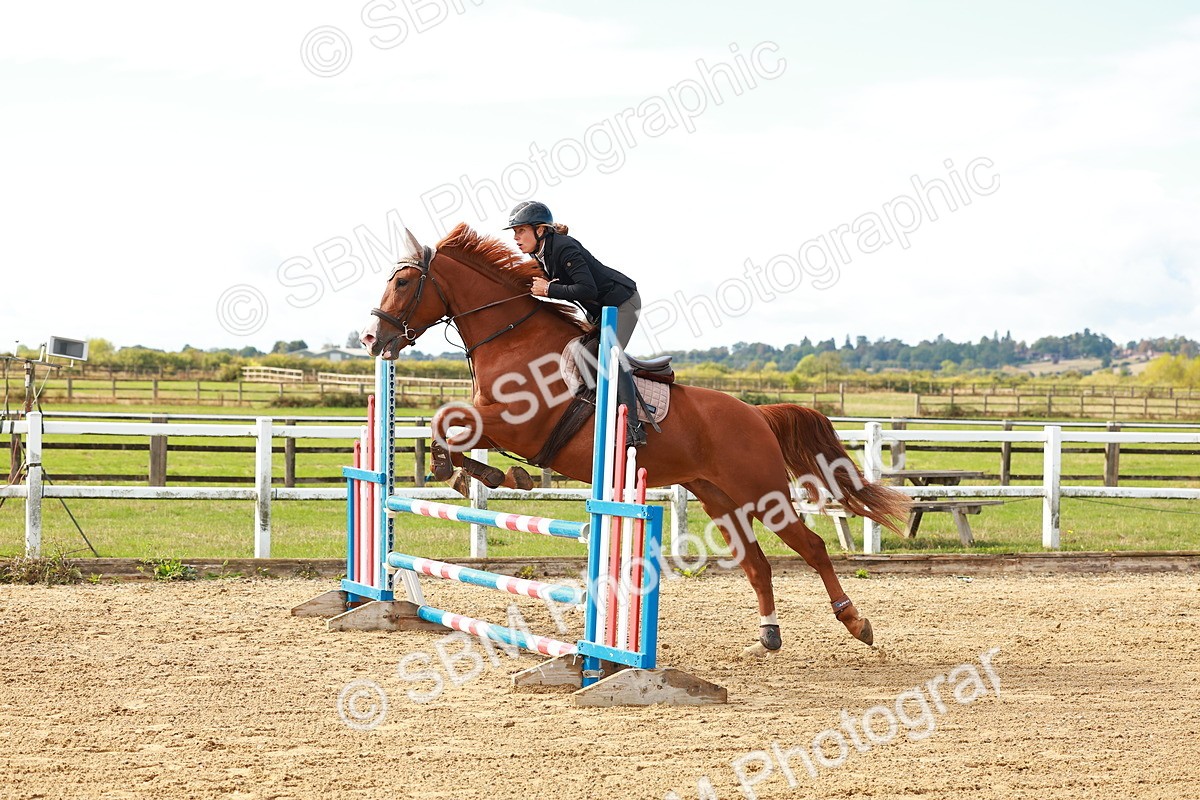 SBM_000470 - Class 2 - Senior British Novice - 90cm
