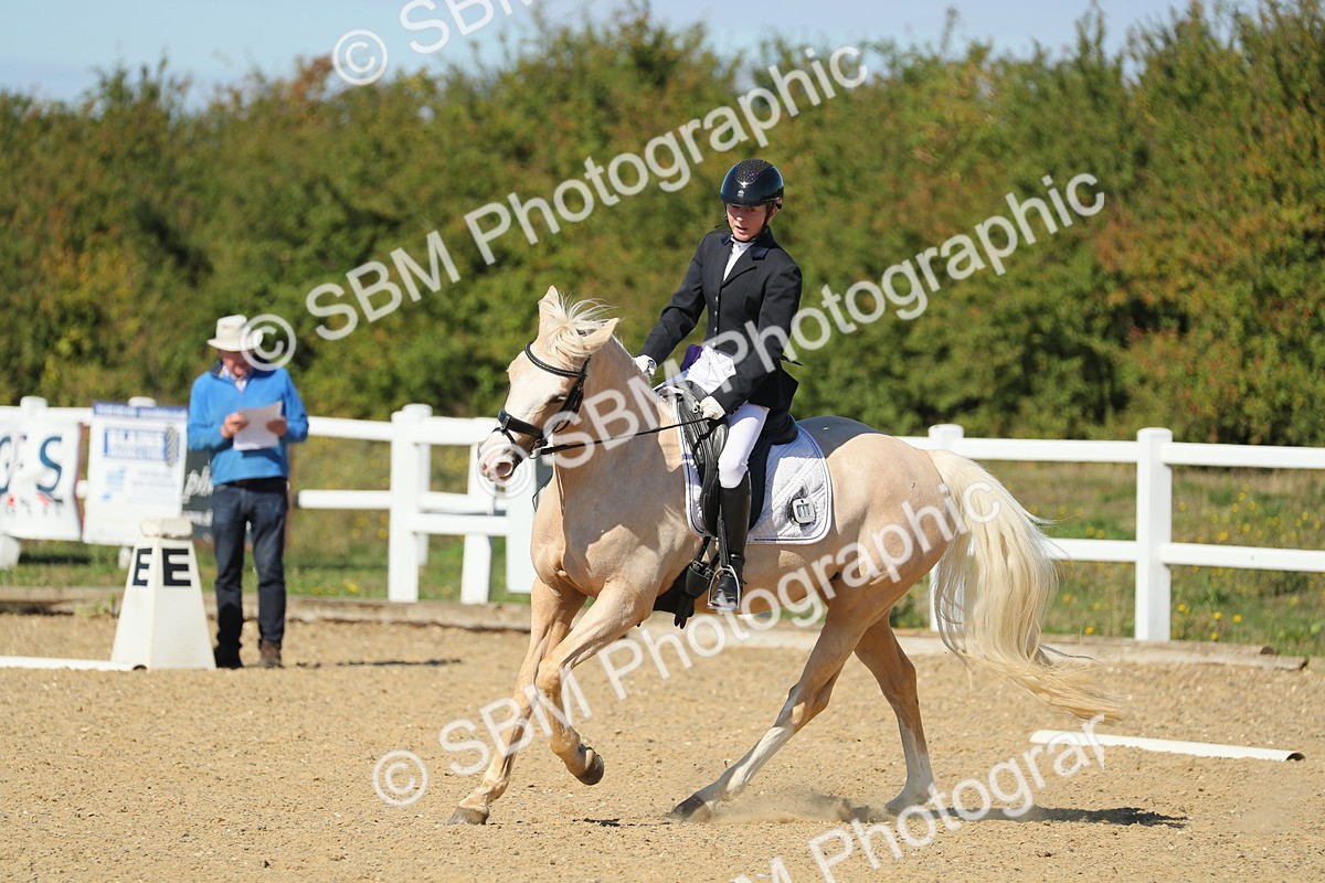 SBM_001555 - Class 7 - E4