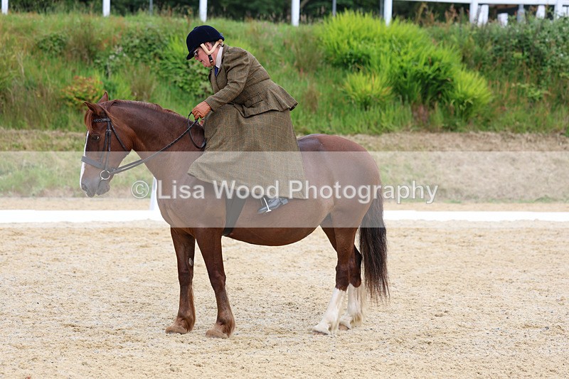 3E7A2098 - Class 3: Prelim 2 2024 Section A