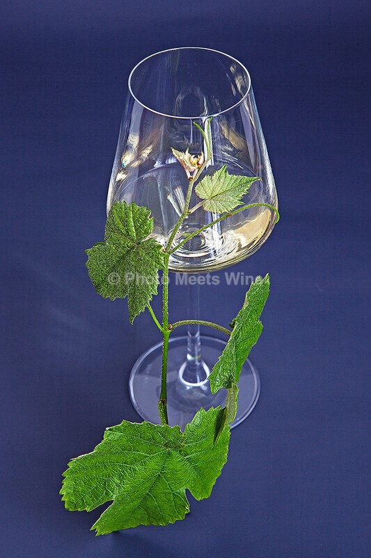  - Wine / Wein