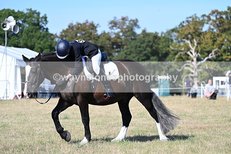 WJ7_9176 - Time 09:27 to 10:03