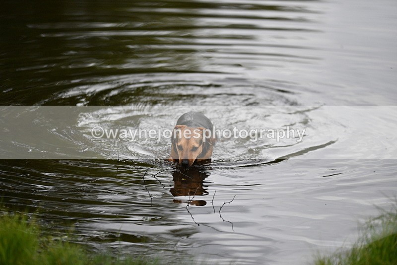 WJ5_5176 - Time 12:04 to 13:05