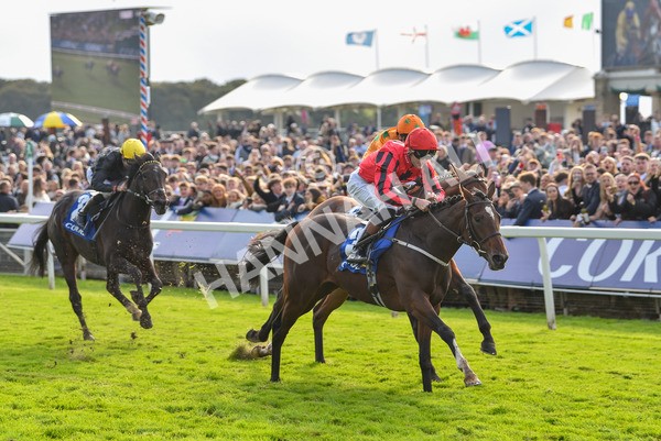 141023-Race 4-Colorada Dancer-1188 - Race 4 3.05pm Coral Racing Club EBF Maiden Stakes