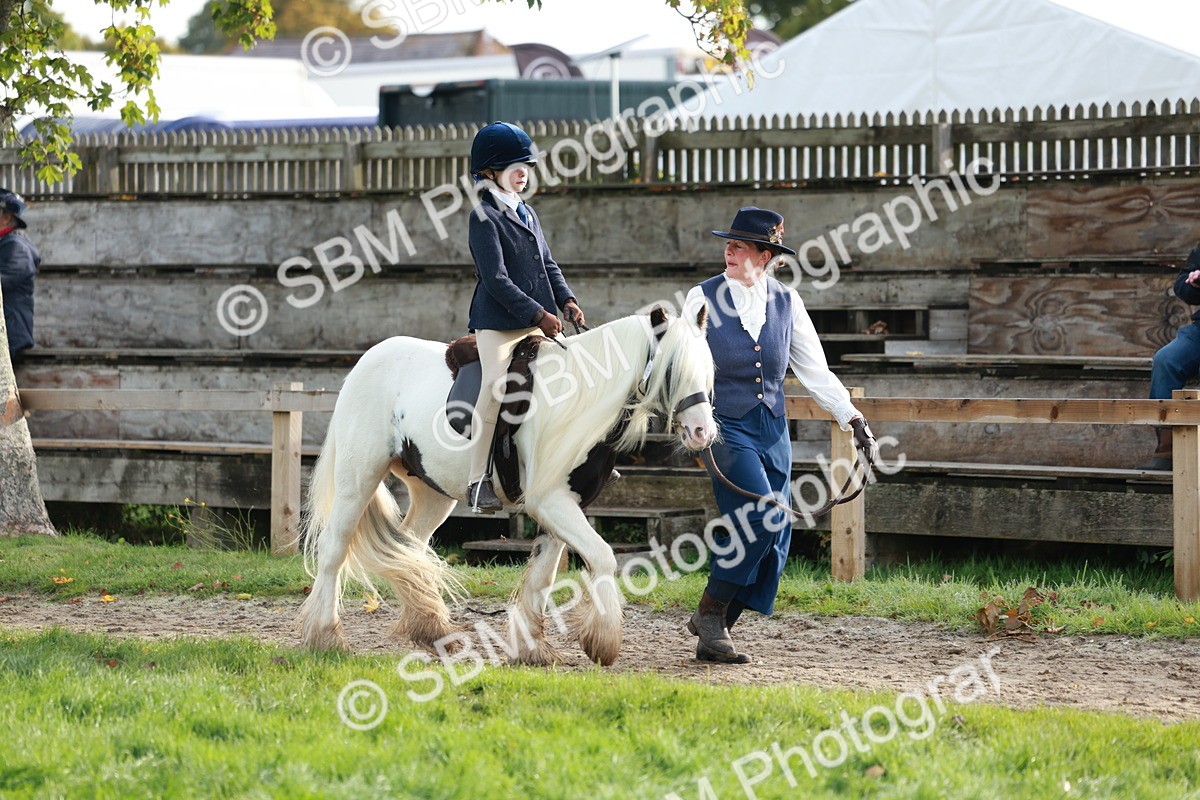 SBM_56292 - S39 - Starters In Hand Showing