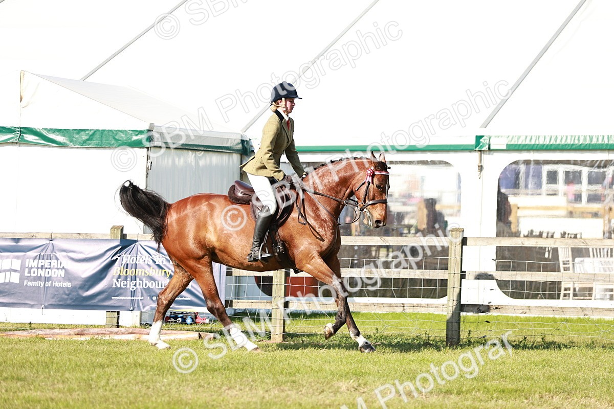 SBM_19234 - Class 115-116 - LIHS BSHA Rising Star Working Hunter & Show Horse