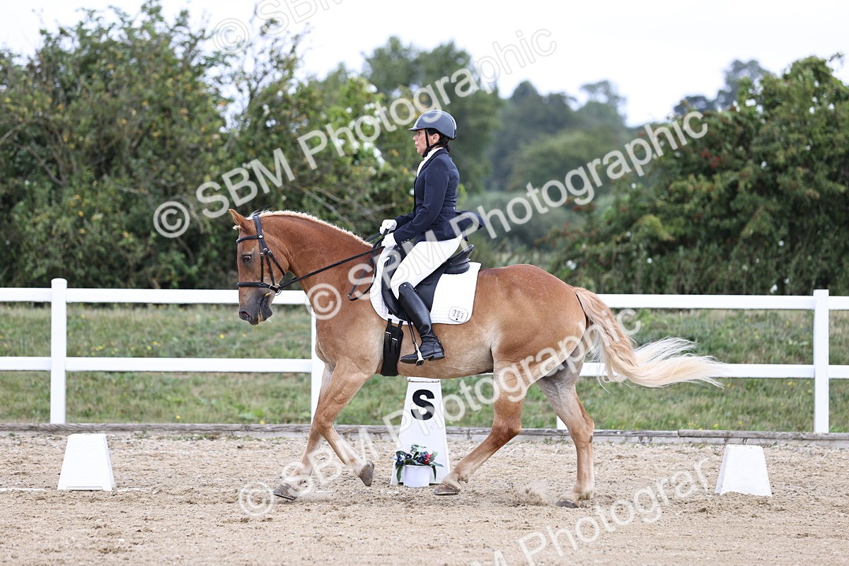 SBM_016768 - Class 14 Novice 23 - 11.53-12.56