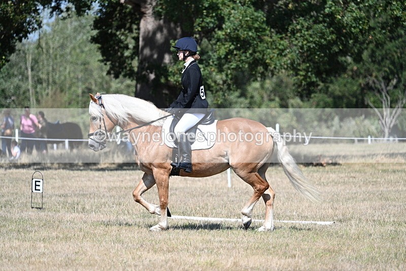 WJ7_0311 - Time 11:33 to 11:44