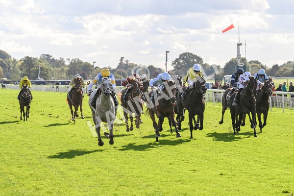 111024-Race 2-Mirabeau-1479 - Race 2 2.05pm British EBF £100,000 Final