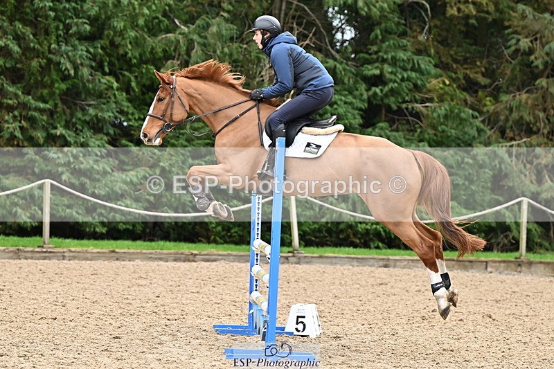 250201A-121334-00619 - Cls 02 Local Horse 100cm