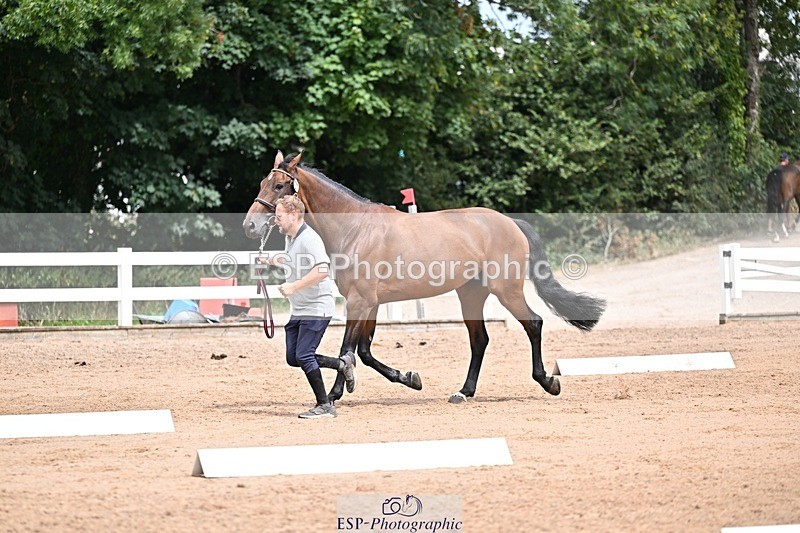 250716-132739-00531 - Trot Up 12.30 to 1.30