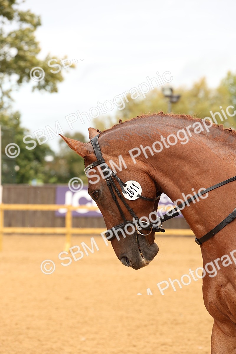 SBM_00653 - D1 - Small Tour Championship Intro 1