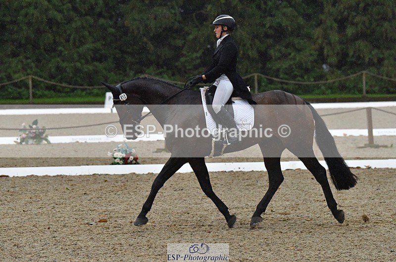 231018-154202-00849 - 012-ROMANY.CRICKET-Nana.Dalton-DR