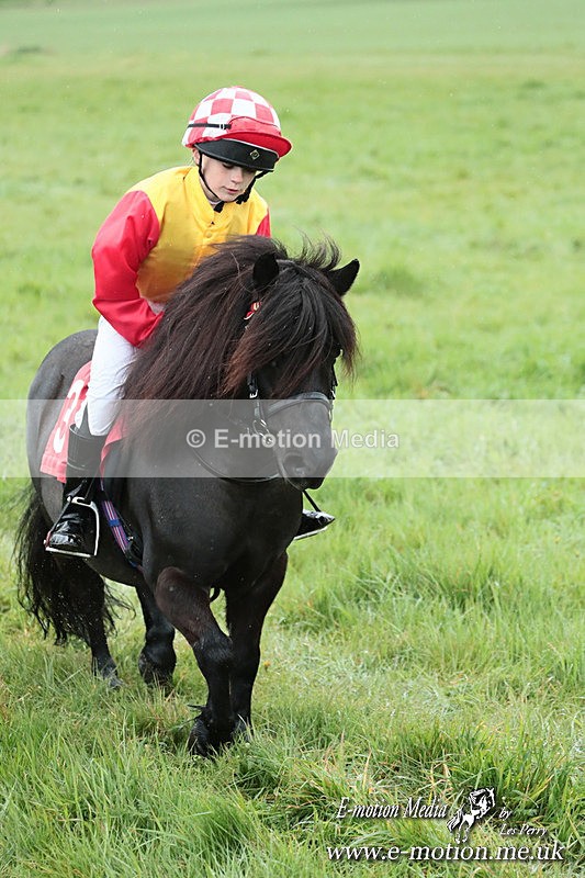SHETPR 210425 150 - Shetland Ponies Paxford Races 21/04/25