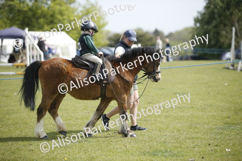 20260426-1850 - Class 7 - Pony Judge Would Most Like To Take Home