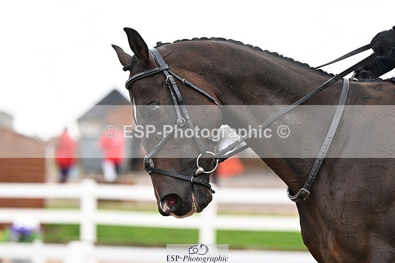 250907-115203-07278 - 068-Emma.LeedingViaduct