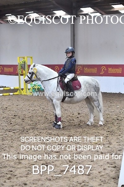 BPP_7487 - 40CM WORKING HUNTER