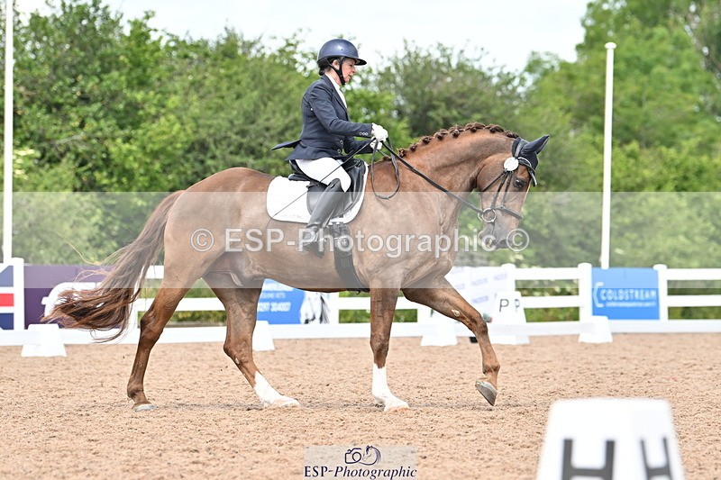 240621A-122124-02102 - Cls 7 BD Elementary 45