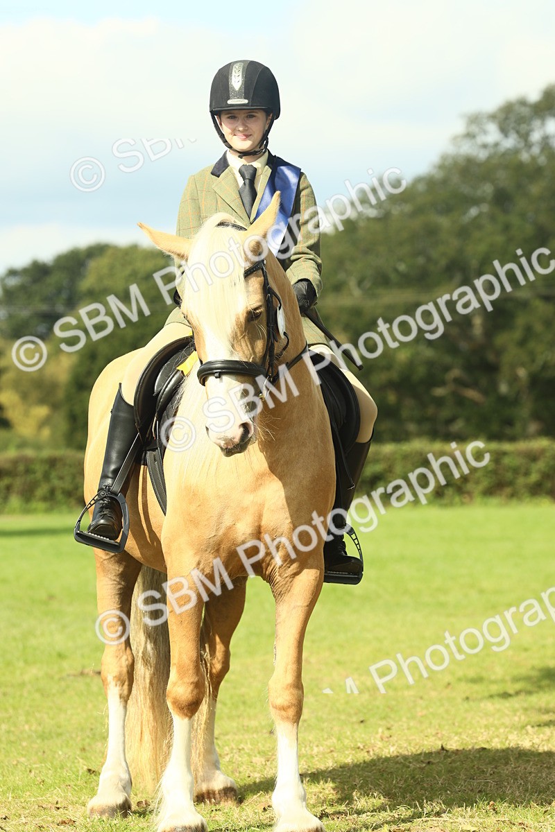 SBM_62700 - S63 - Other Coloured Horse Ridden