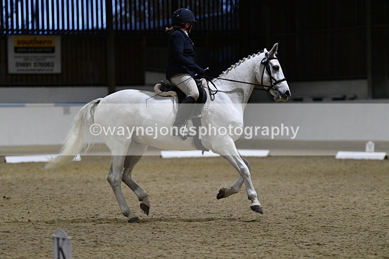 WJ5_8674 - Class 5 Novice Test 3