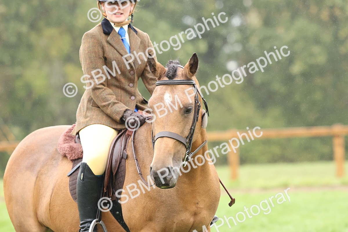SBM_73066 - S63 Show Pony & Show Hunter Pony Ridden