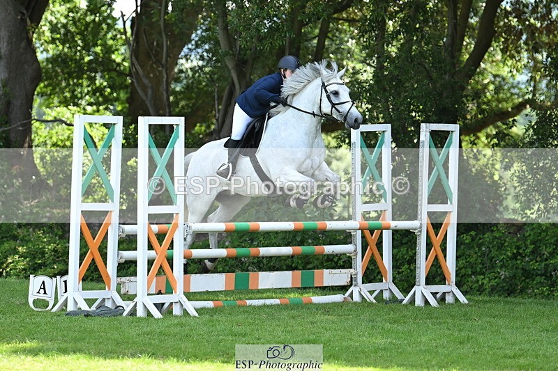 250704A-104029-07032 - Cls 25 Snr British Novice and 90cm