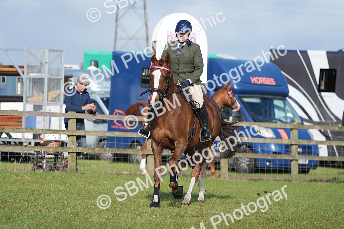 SBM_10501 - Class 97-98 - LIHS BSHA Rising Star Working Show Horse Hunter
