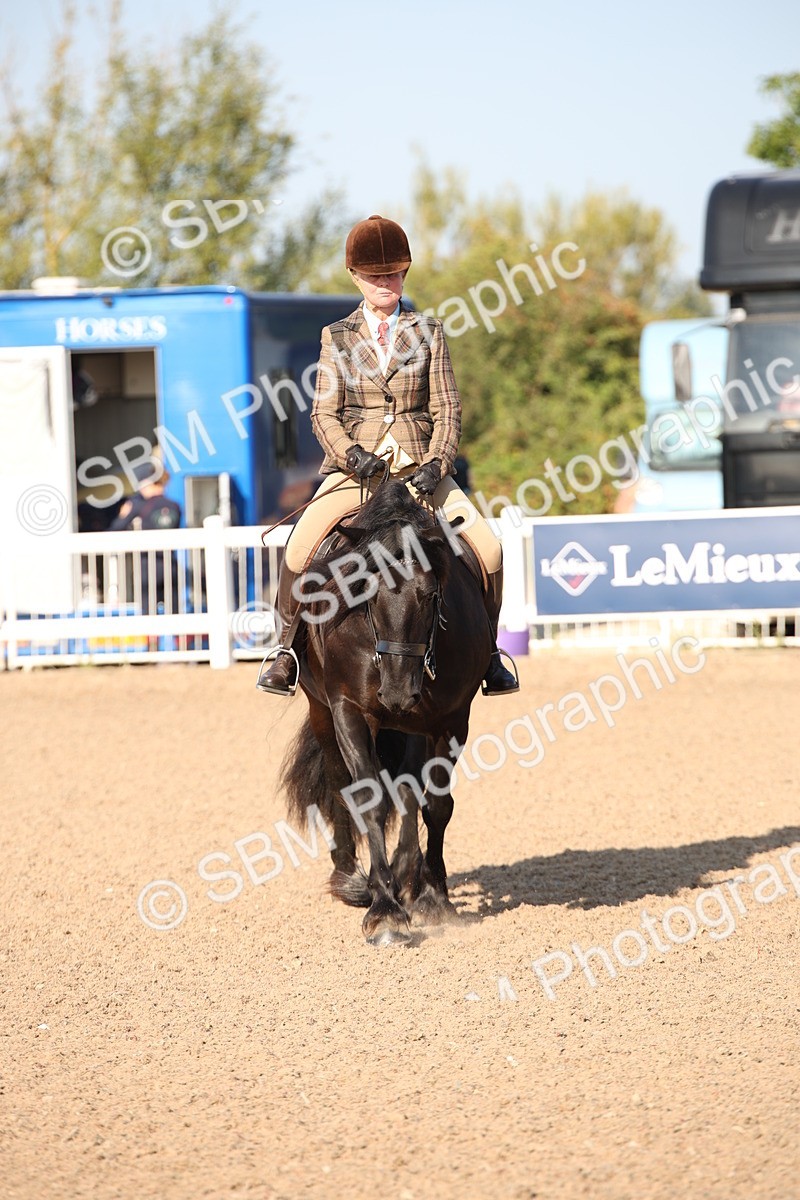 SBM_00666 - Class 14 Ridden M&M Wildcard