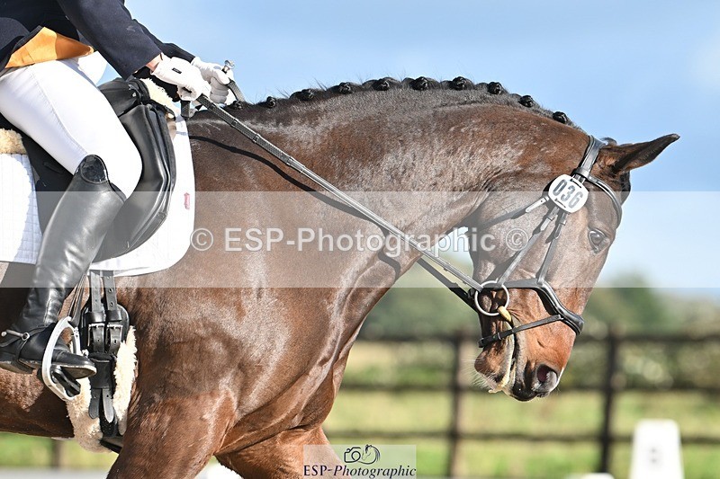 231105-125349-01229 - Cls 3 Prelim 12 12.40 to End